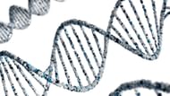 Certain gene is involved (Image via Unsplash/Ashraful Islam)